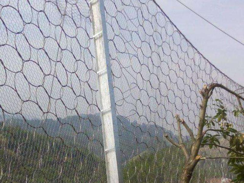 RXI-200環(huán)形被動防護網 RXI-200環(huán)形被動防護網
